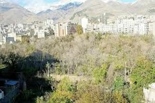  ملک‌های دانه درشت و قابل احصاء در شمال تهران شناسایی می‌شود 