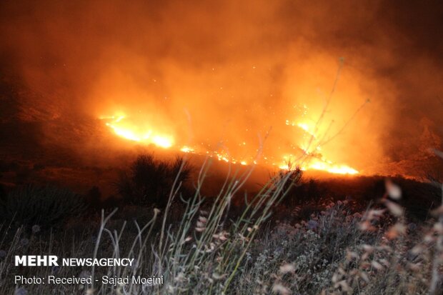 پیشگیری از آتش سوزی های احتمالی در بوستان‌ها